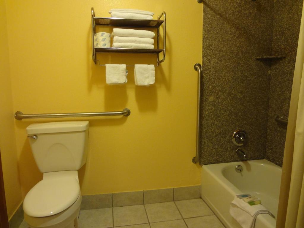 Antlers Inn Goliad - image 7