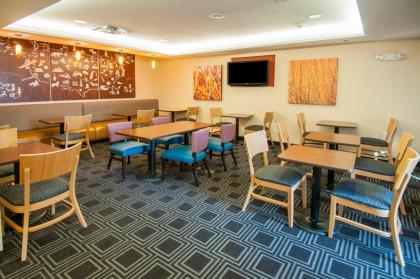 TownePlace Suites by Marriott Baton Rouge Gonzales - image 8