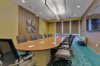 SpringHill Suites by Marriott Baton Rouge Gonzales - image 5