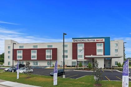 SpringHill Suites by Marriott Baton Rouge Gonzales - image 8