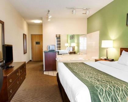 Comfort Inn Goshen - image 12