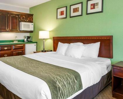 Comfort Inn Goshen - image 15
