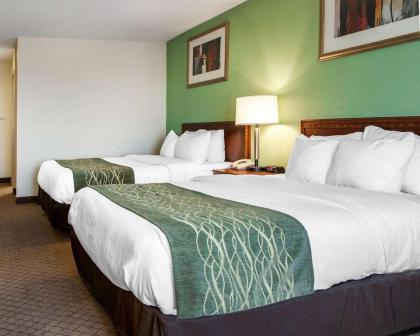 Comfort Inn Goshen - image 7