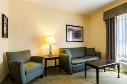Comfort Suites Gothenburg - image 14