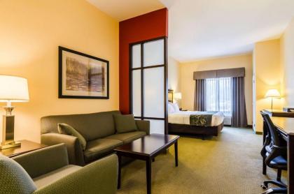 Comfort Suites Gothenburg - image 15