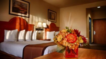 Best Western Plus Graham Inn - image 12