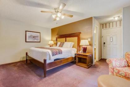 Lake View Inn - image 2