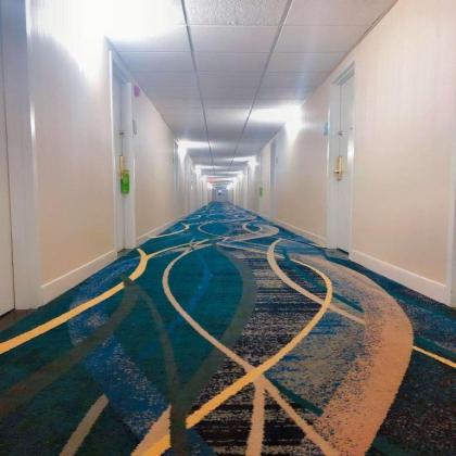 Radisson Hotel Niagara Falls-Grand Island - image 11