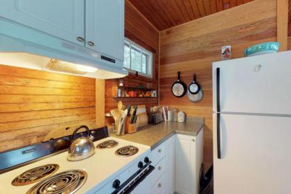 Island Lake House - image 14