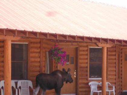 Lone Eagle Lodge - image 5