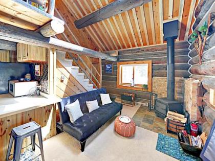 Secluded Mountain-View Log Cabin Near Snow Trails home - image 4