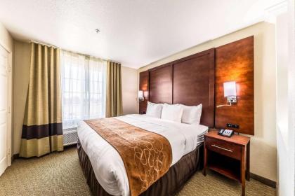 Comfort Suites Grand Prairie - Arlington North - image 5