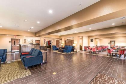 Comfort Suites Grand Prairie - Arlington North - image 8