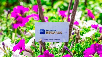 Best Western Grants Pass Inn - image 12