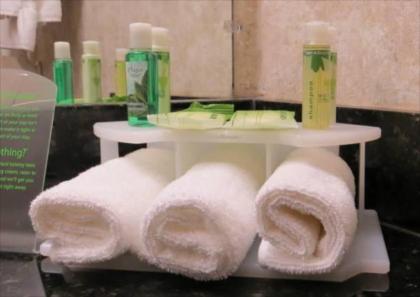 Holiday Inn Express Hotel & Suites Grants Milan - image 10