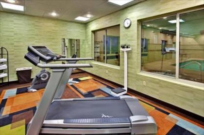 Holiday Inn Express Hotel & Suites Grants Milan - image 9