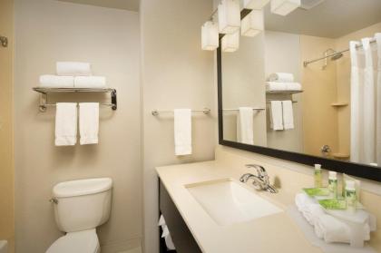 Holiday Inn Express Hotel and Suites DFW-Grapevine an IHG Hotel - image 9
