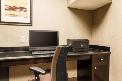 Comfort Suites DFW N/Grapevine - image 13