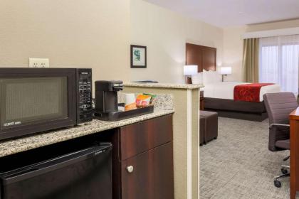 Comfort Suites DFW N/Grapevine - image 5