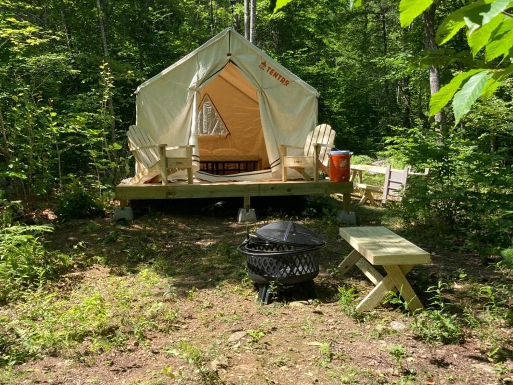 Tentrr Signature Site - Two Eagles Campsite - image 3