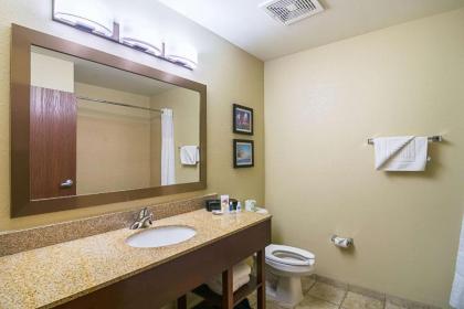 Comfort Suites Grayslake - image 12