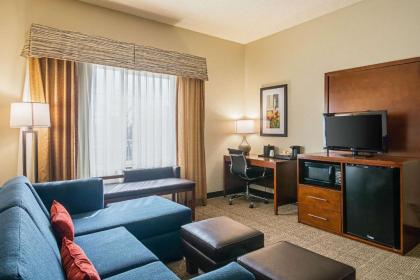 Comfort Suites Grayslake - image 15