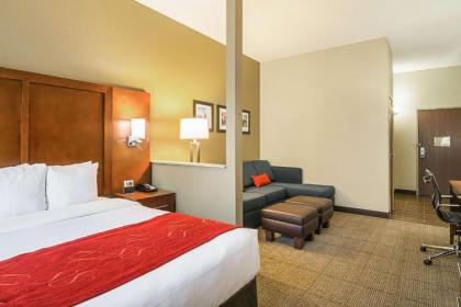 Comfort Suites Grayslake - image 8