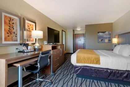 Comfort Inn & Suites Market - Airport - image 9