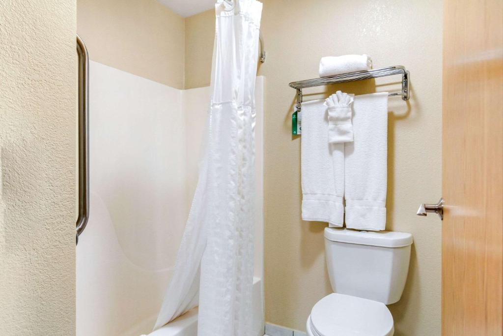 Comfort Inn & Suites Greeley - image 2