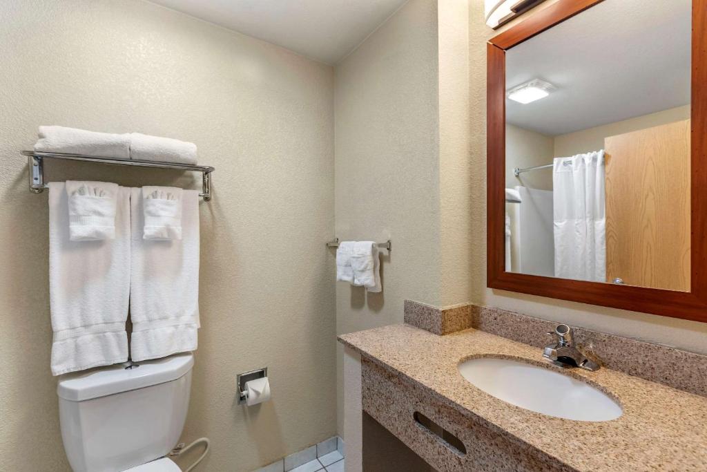 Comfort Inn & Suites Greeley - image 4