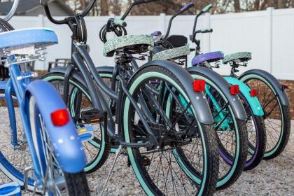 Carriage House Walk to UNC + Free Bikes - image 11