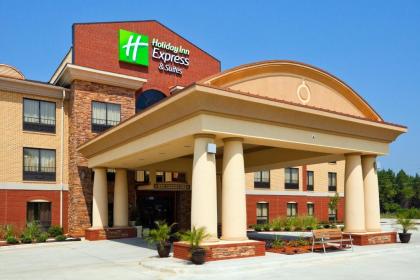 Holiday Inn Express Hotel  Suites Greenville an IHG Hotel