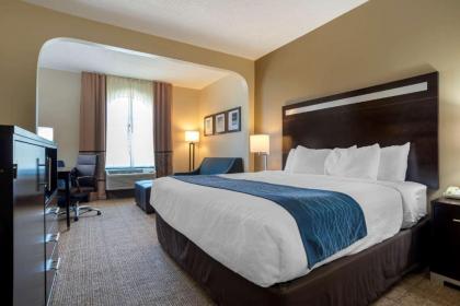 Comfort Inn Greenville I-65 - image 7