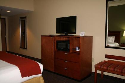 Holiday Inn Express Hotel & Suites Greenville