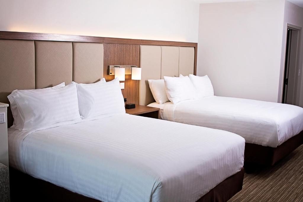 Holiday Inn Express & Suites Greenwood Mall an IHG Hotel - image 4