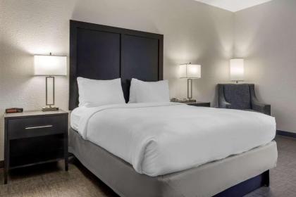 Comfort Inn & Suites Greer - Greenville - image 12