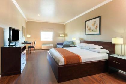 Lone Star Inn & Suites - image 6