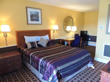 Windsor Motel - image 2