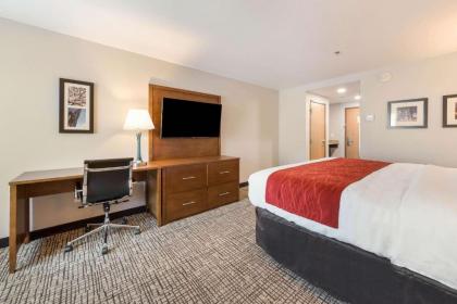 Comfort Inn Grove City - image 8