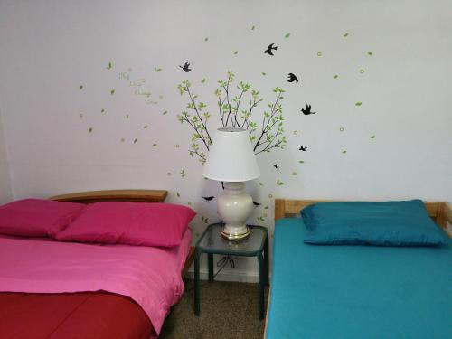 Yosemite International Hostel - image 4