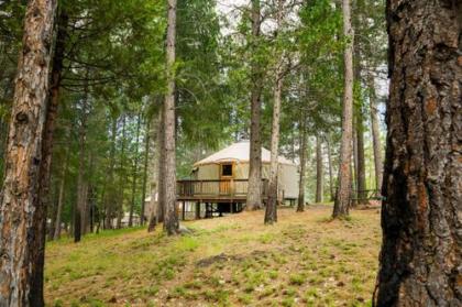 Yosemite Lakes Hillside Yurt 5