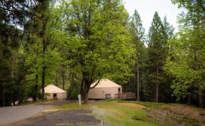 Yosemite Lakes Hillside Yurt 1