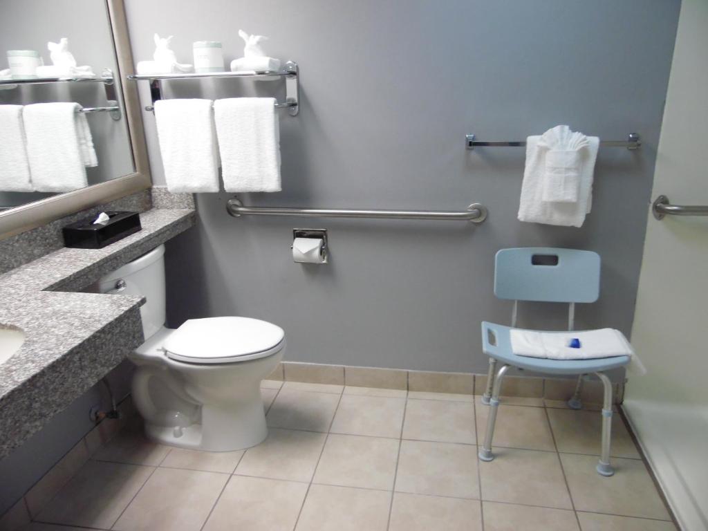 Best Western Augusta West - image 5