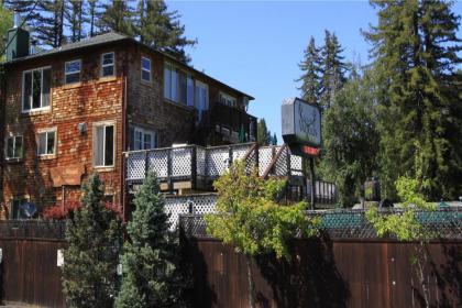 the Woods Hotel   Gay LGBtQ Cabins