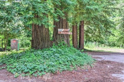 Redwoods Treehouse Across From the Russian River! - image 8