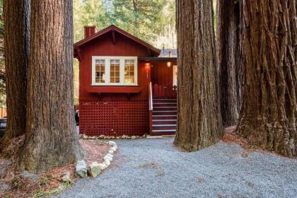 Redwood Retreat Redwoods Walk to River Hot tub BBQ Central Air Guerneville