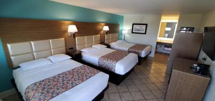 Beachside Resort Hotel - image 5