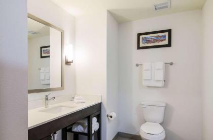 Comfort Inn & Suites - image 4