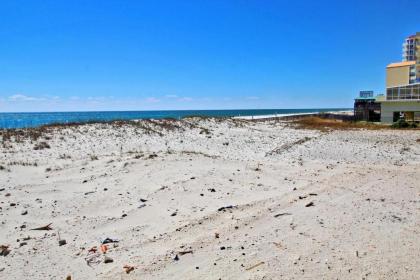 Our Point of View #3 by Youngs Suncoast - image 14