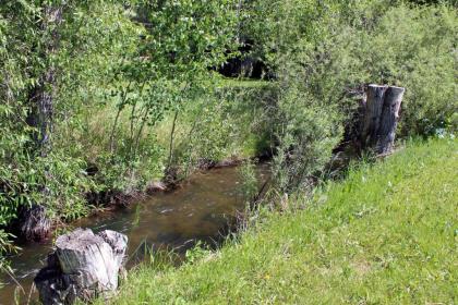 Rodeway Inn Gunnison - image 4